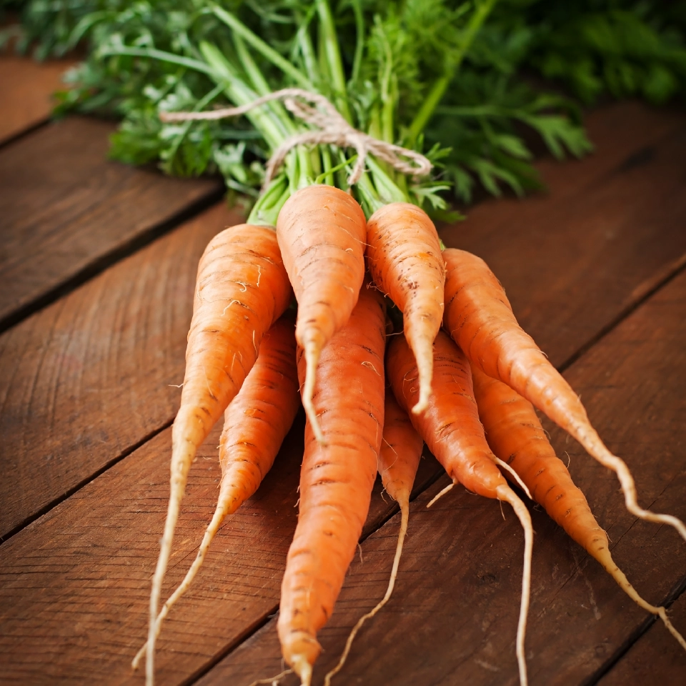 Zanahorias frescas
