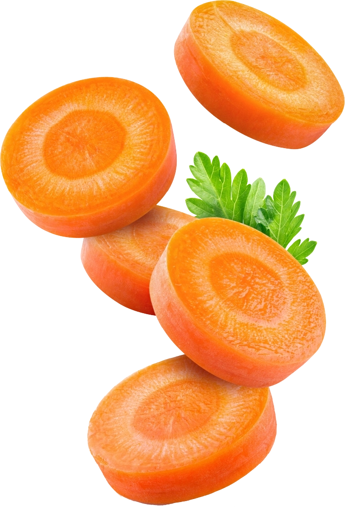 Zanahoria