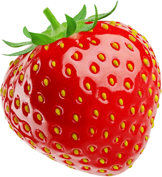 Fresa